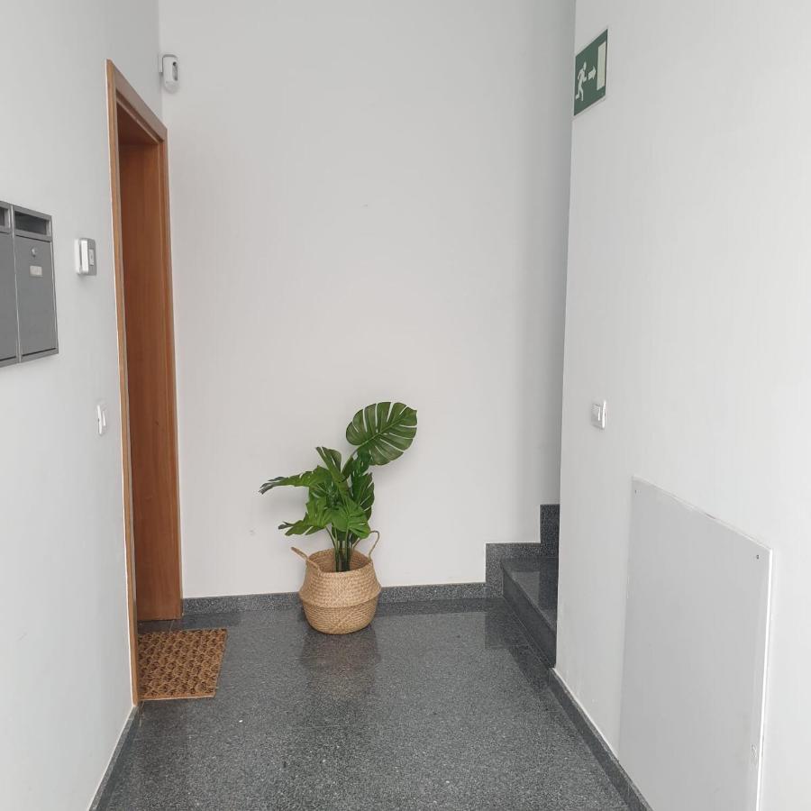 City Suite Las Palmas de Gran Canaria Exterior foto